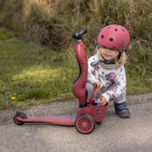 Scoot and ride HIGHWAYKICK 1 z zamykanym schowkiem - Wildcat