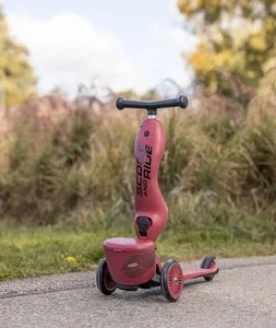 Scoot and ride HIGHWAYKICK 1 z zamykanym schowkiem - Wildcat