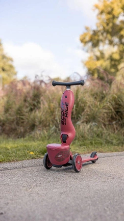 Scoot and ride HIGHWAYKICK 1 z zamykanym schowkiem - Wildcat