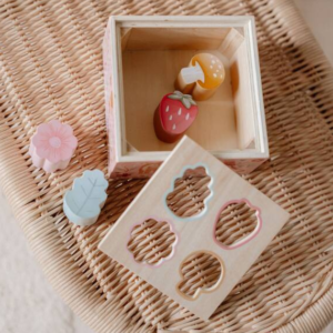 Little Dutch Sorter Fairy Garden